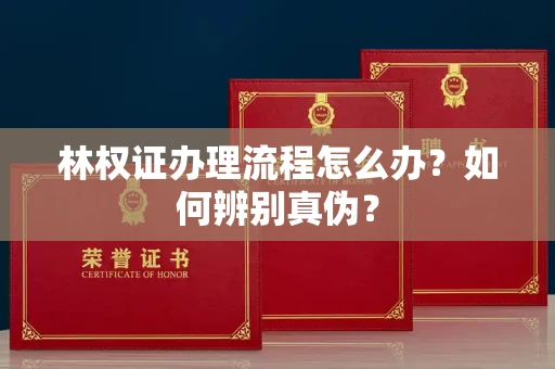 全国林权证办理流程怎么办?如何辨别真伪?