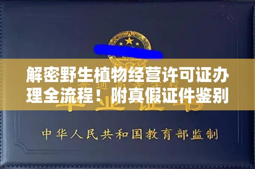 全国解密野生植物经营许可证办理全流程!附真假证件鉴别方法