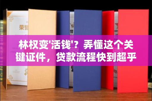 全国林权变'活钱'?弄懂这个关键证件,贷款流程快到超乎想象!
