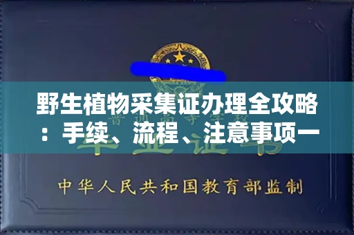 全国野生植物采集证办理全攻略:手续、流程、注意事项一网打尽